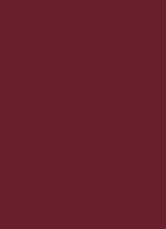 burgundy-phone-pocket-leggings-3066054263546